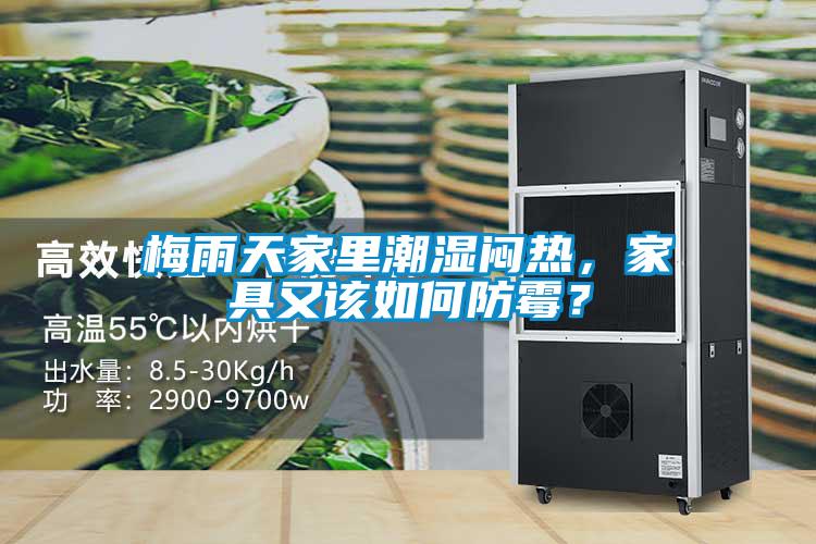 梅雨天家里潮濕悶熱，家具又該如何防霉？