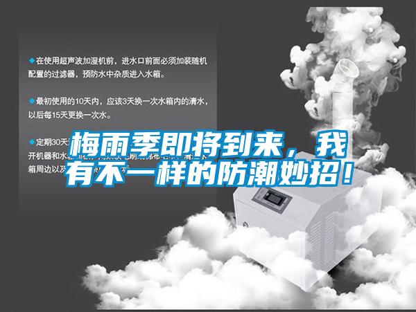 梅雨季即將到來(lái)，我有不一樣的防潮妙招！