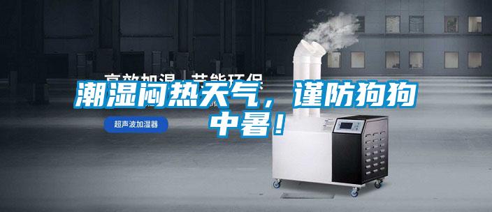 潮濕悶熱天氣，謹防狗狗中暑！