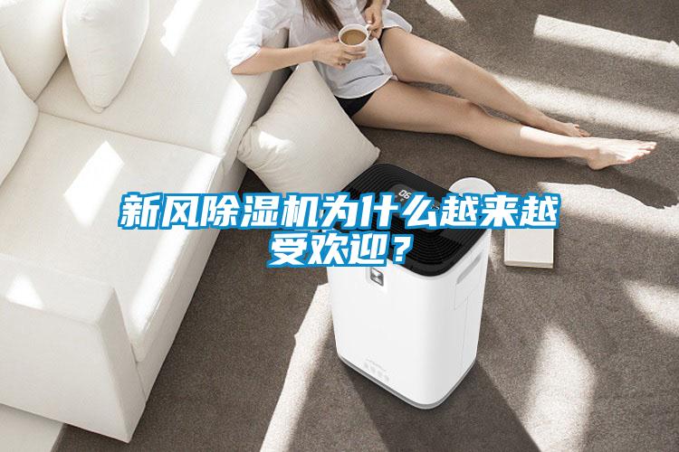 新風(fēng)除濕機為什么越來(lái)越受歡迎？