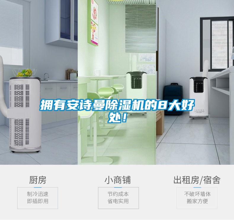 擁有安詩(shī)曼除濕機的8大好處！