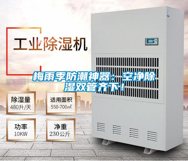 梅雨季防潮神器：空凈除濕雙管齊下！