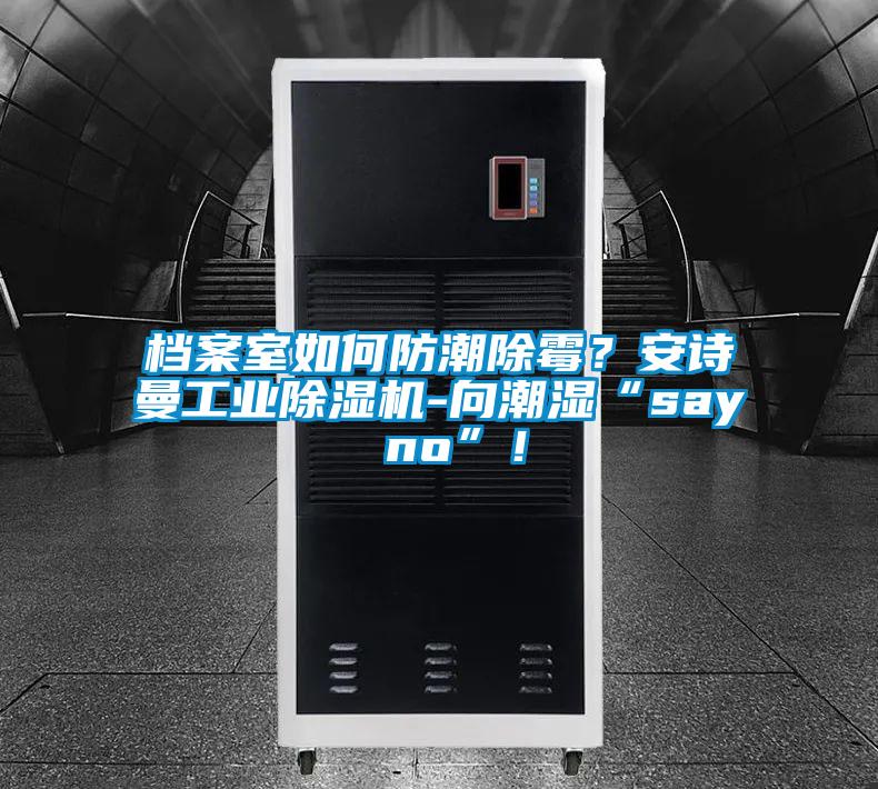檔案室如何防潮除霉？安詩(shī)曼工業(yè)除濕機-向潮濕“say no”！