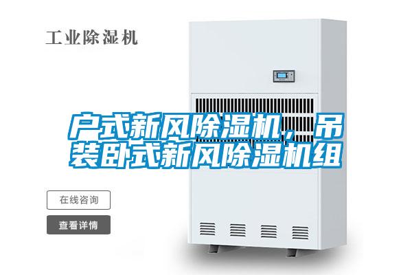 戶(hù)式新風(fēng)除濕機，吊裝臥式新風(fēng)除濕機組