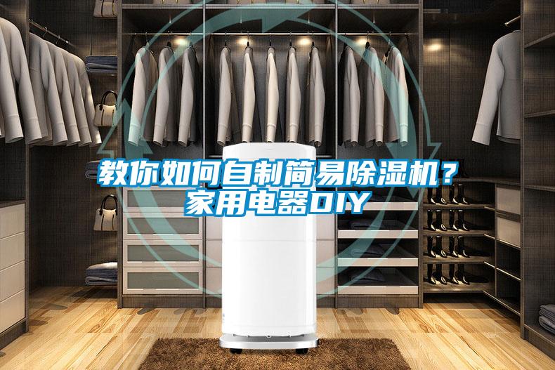 教你如何自制簡(jiǎn)易除濕機？家用電器DIY