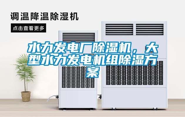水力發(fā)電廠(chǎng)除濕機，大型水力發(fā)電機組除濕方案