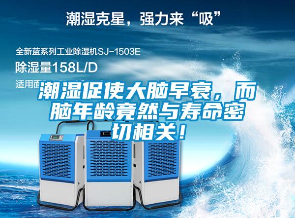 潮濕促使大腦早衰，而腦年齡竟然與壽命密切相關(guān)！