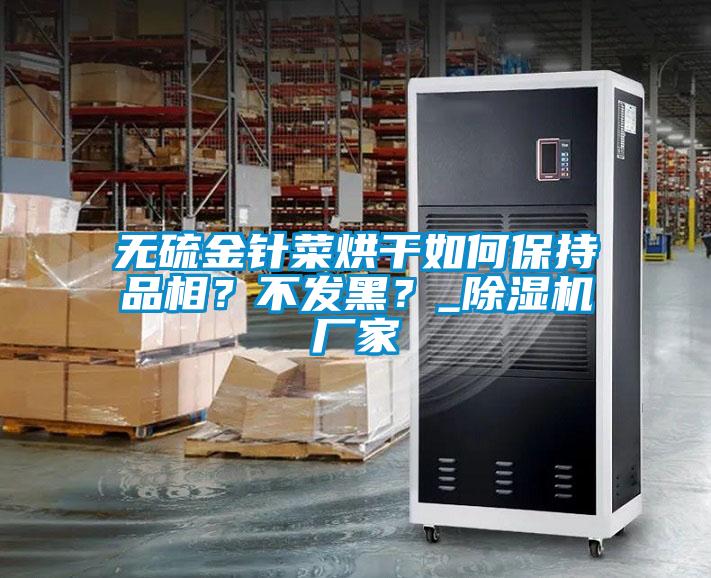 無(wú)硫金針菜烘干如何保持品相？不發(fā)黑？_除濕機廠(chǎng)家
