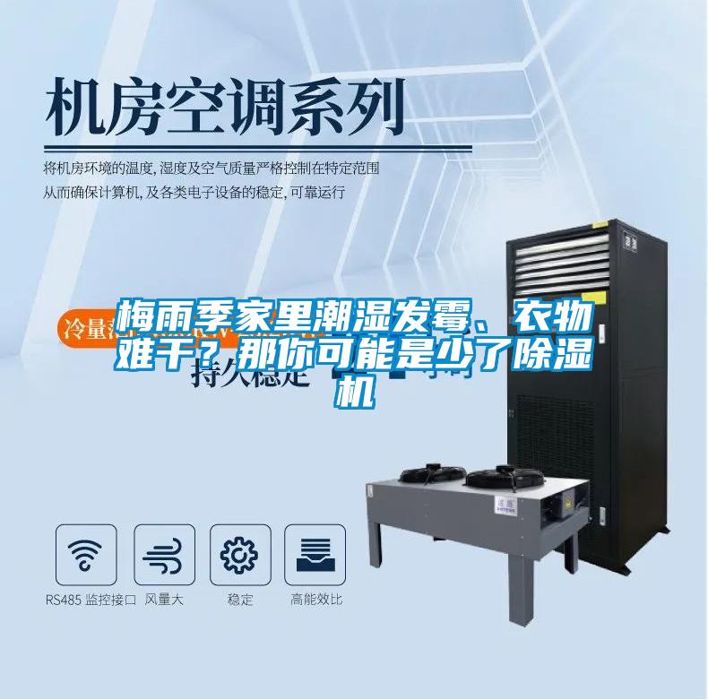 梅雨季家里潮濕發(fā)霉、衣物難干？那你可能是少了除濕機