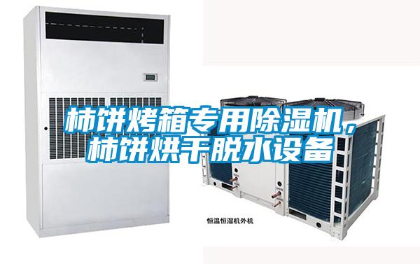 柿餅烤箱專(zhuān)用除濕機，柿餅烘干脫水設備