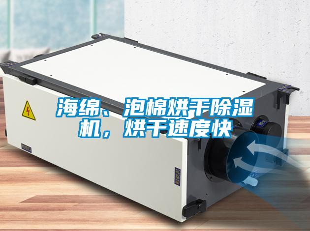 海綿、泡棉烘干除濕機，烘干速度快