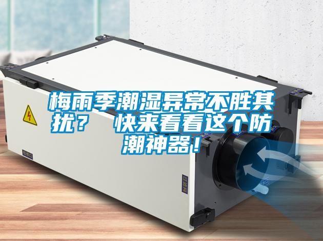 梅雨季潮濕異常不勝其擾？ 快來(lái)看看這個(gè)防潮神器！