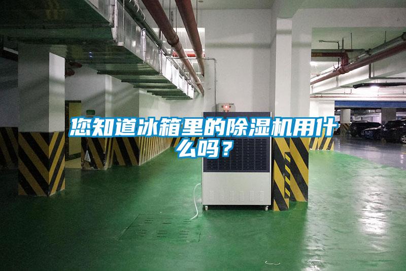 您知道冰箱里的除濕機用什么嗎？
