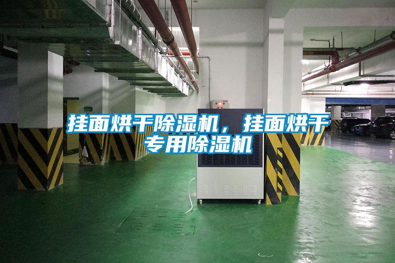 掛面烘干除濕機，掛面烘干專(zhuān)用除濕機