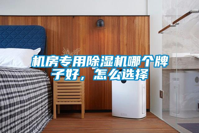 機房專(zhuān)用除濕機哪個(gè)牌子好，怎么選擇