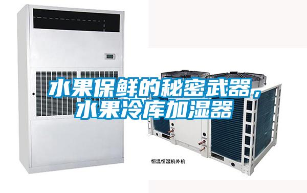 水果保鮮的秘密武器，水果冷庫加濕器