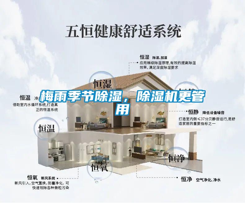 梅雨季節除濕，除濕機更管用