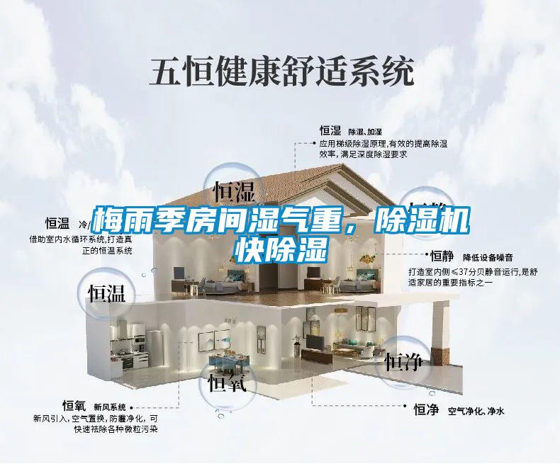 梅雨季房間濕氣重，除濕機快除濕