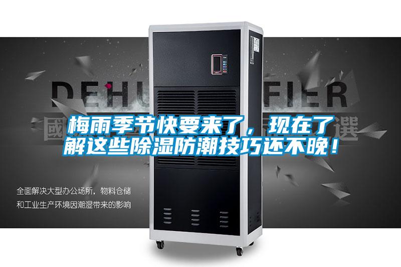 梅雨季節快要來(lái)了，現在了解這些除濕防潮技巧還不晚！