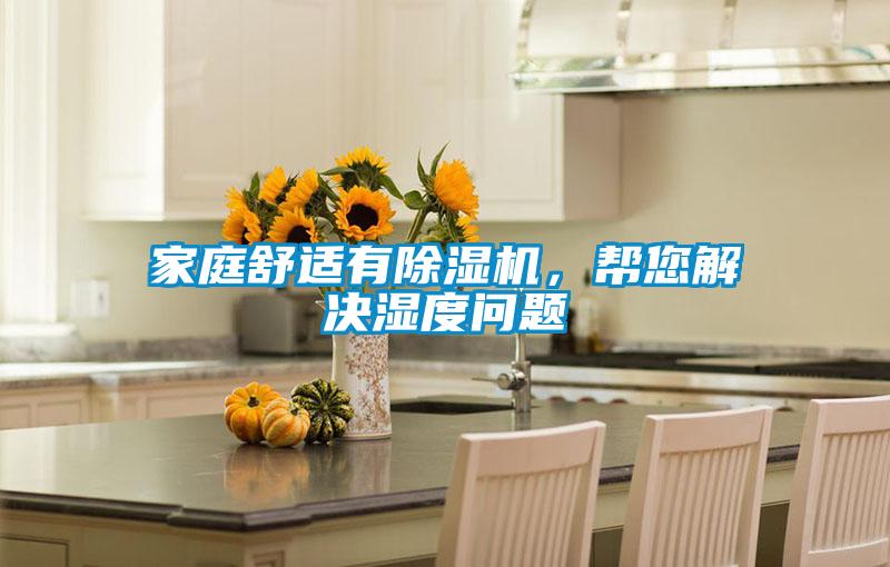 家庭舒適有除濕機，幫您解決濕度問題