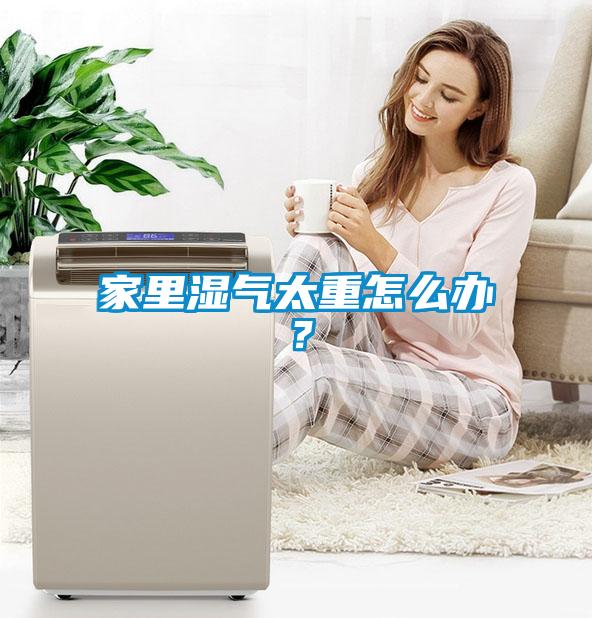 家里濕氣太重怎么辦？
