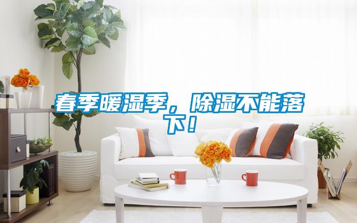 春季暖濕季，除濕不能落下！