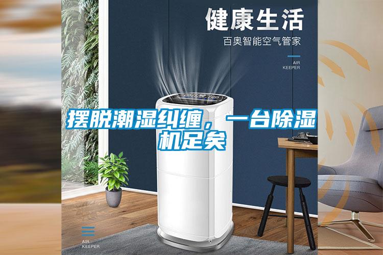 擺脫潮濕糾纏，一臺除濕機足矣