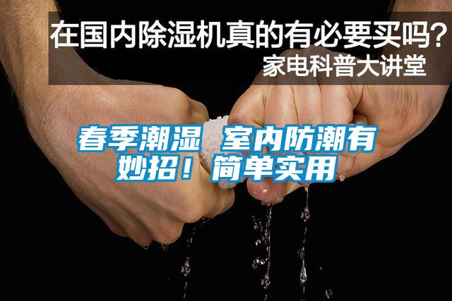 春季潮濕 室內防潮有妙招！簡(jiǎn)單實(shí)用
