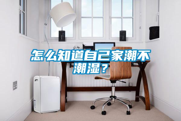 怎么知道自己家潮不潮濕？
