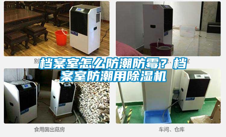 檔案室怎么防潮防霉？檔案室防潮用除濕機