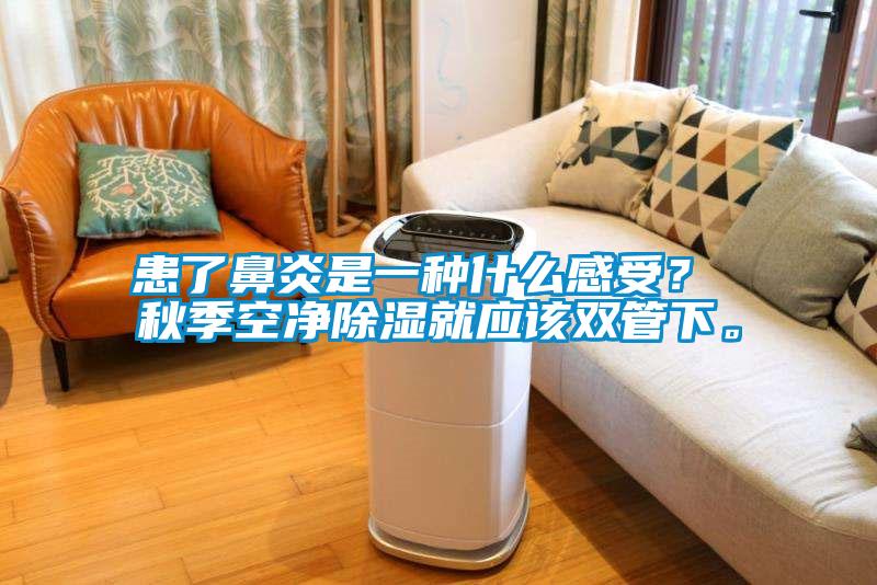患了鼻炎是一種什么感受？ 秋季空凈除濕就應該雙管下。