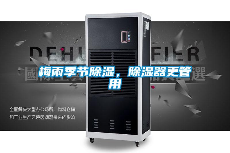 梅雨季節除濕，除濕器更管用