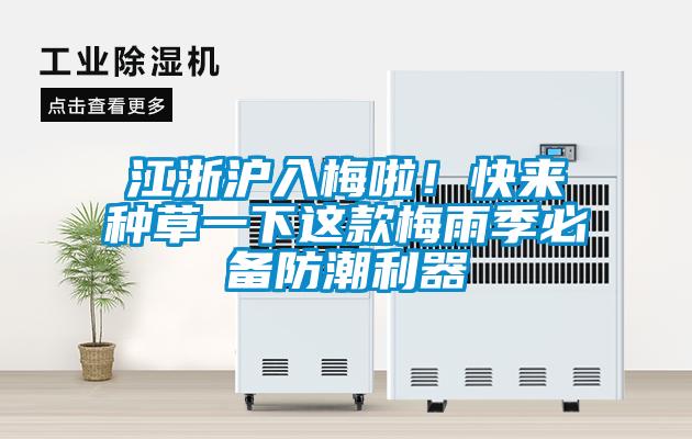 江浙滬入梅啦！快來(lái)種草一下這款梅雨季必備防潮利器