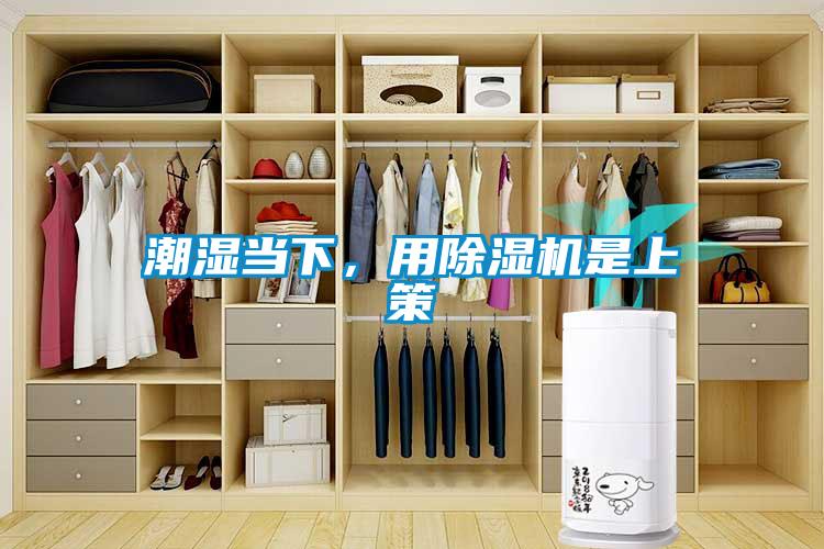 潮濕當下，用除濕機是上策