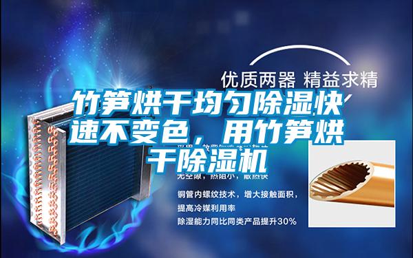 竹筍烘干均勻除濕快速不變色，用竹筍烘干除濕機