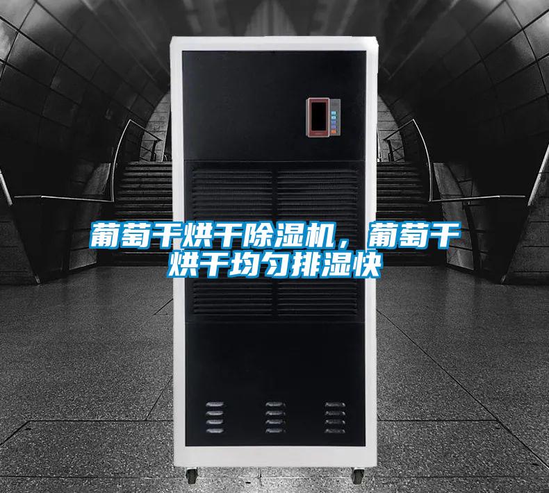 葡萄干烘干除濕機，葡萄干烘干均勻排濕快