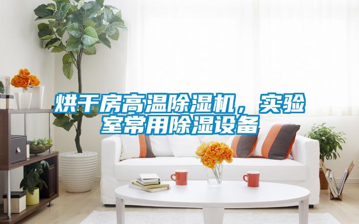 烘干房高溫除濕機，實(shí)驗室常用除濕設備
