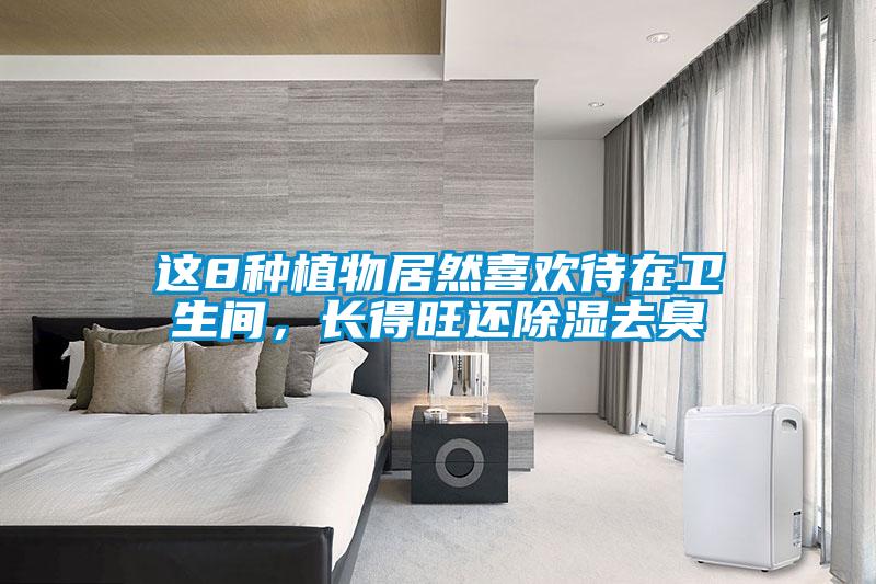 這8種植物居然喜歡待在衛生間，長(cháng)得旺還除濕去臭