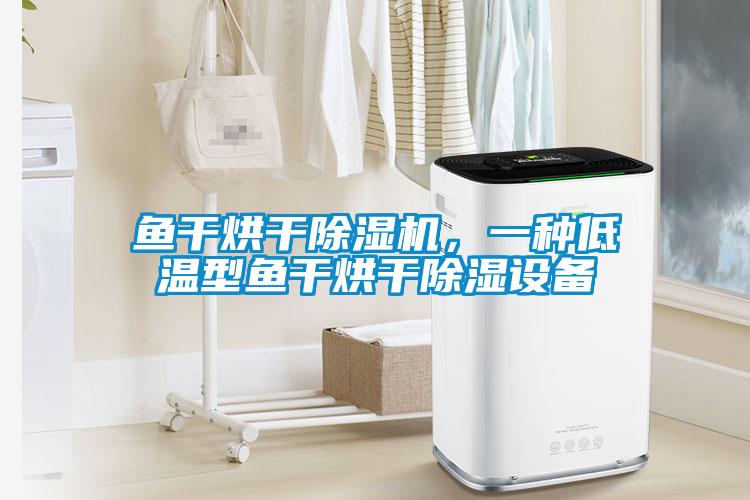 魚(yú)干烘干除濕機，一種低溫型魚(yú)干烘干除濕設備