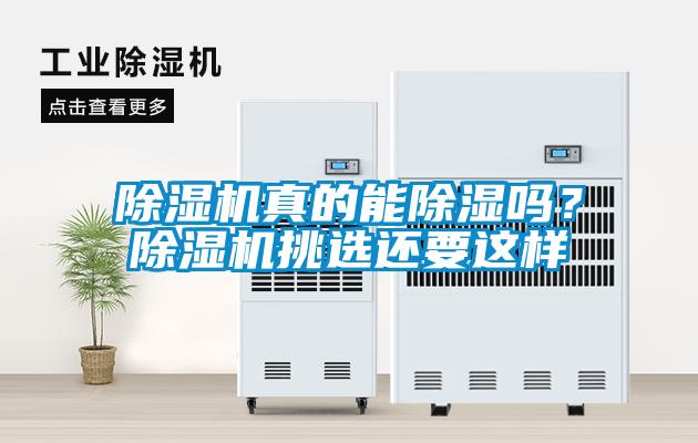 除濕機真的能除濕嗎？除濕機挑選還要這樣