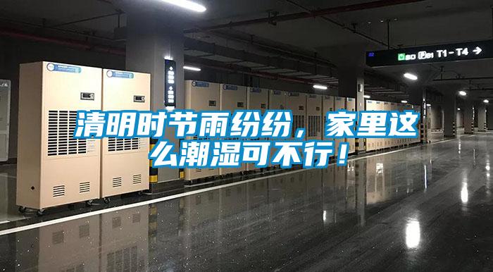 清明時(shí)節雨紛紛，家里這么潮濕可不行！