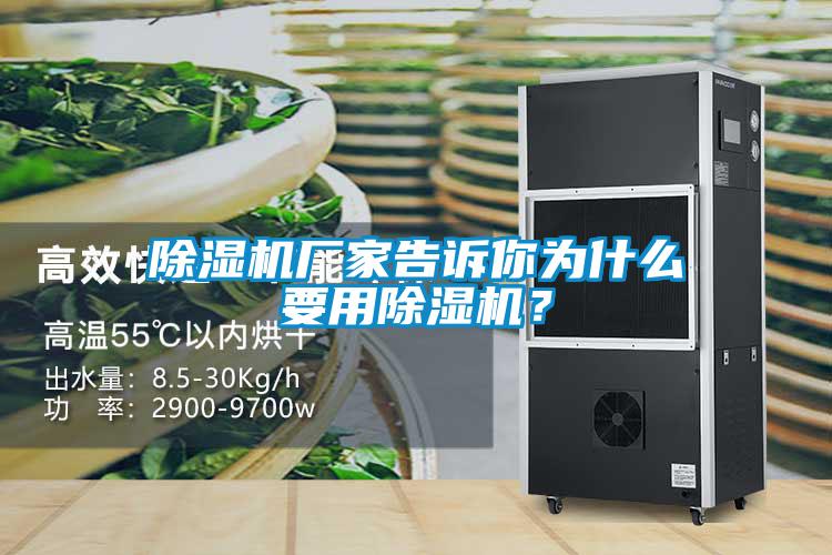 除濕機廠(chǎng)家告訴你為什么要用除濕機？