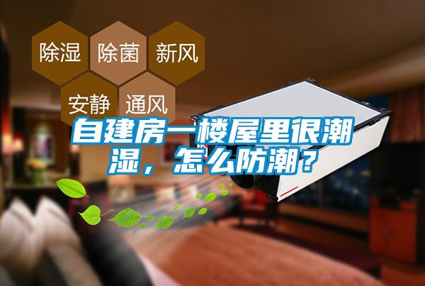 自建房一樓屋里很潮濕，怎么防潮？