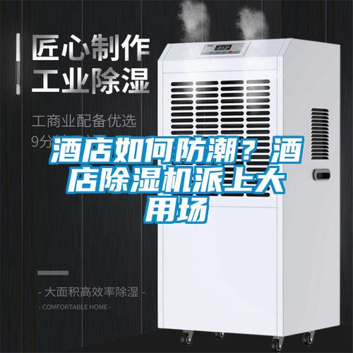 酒店如何防潮？酒店除濕機派上大用場(chǎng)