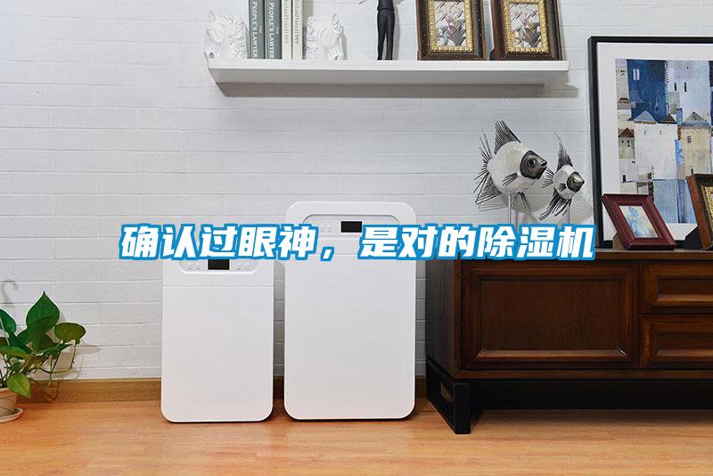 確認過(guò)眼神，是對的除濕機