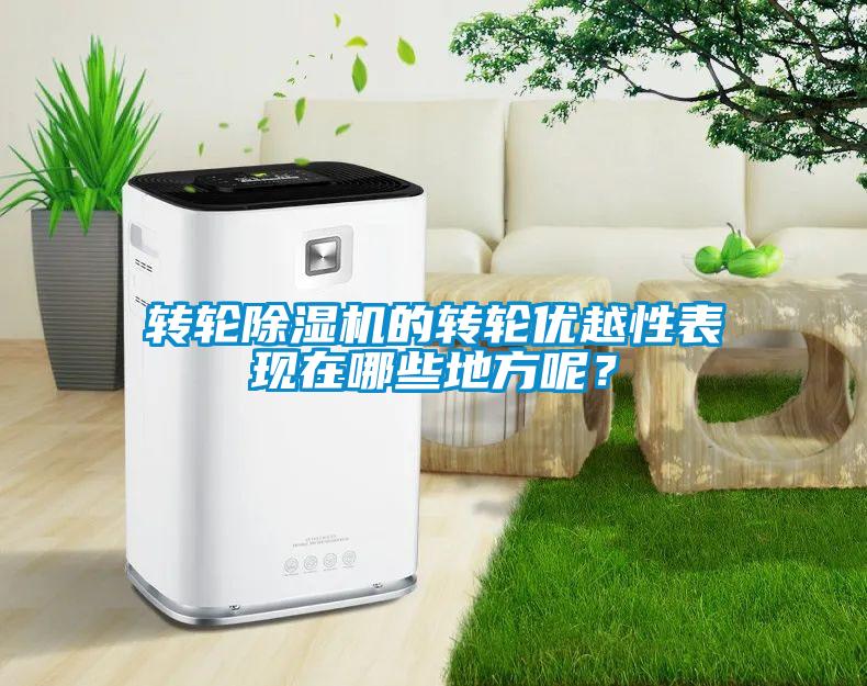 轉輪除濕機的轉輪優(yōu)越性表現在哪些地方呢？