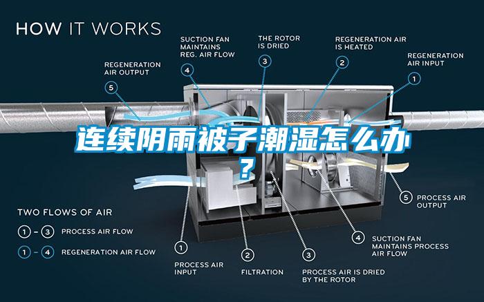 連續陰雨被子潮濕怎么辦？