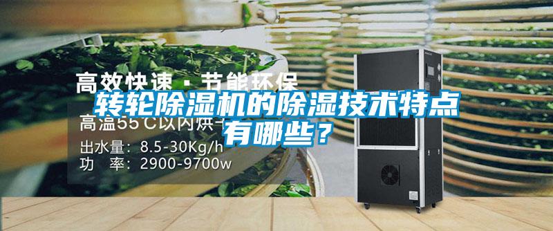 轉輪除濕機的除濕技術(shù)特點(diǎn)有哪些？