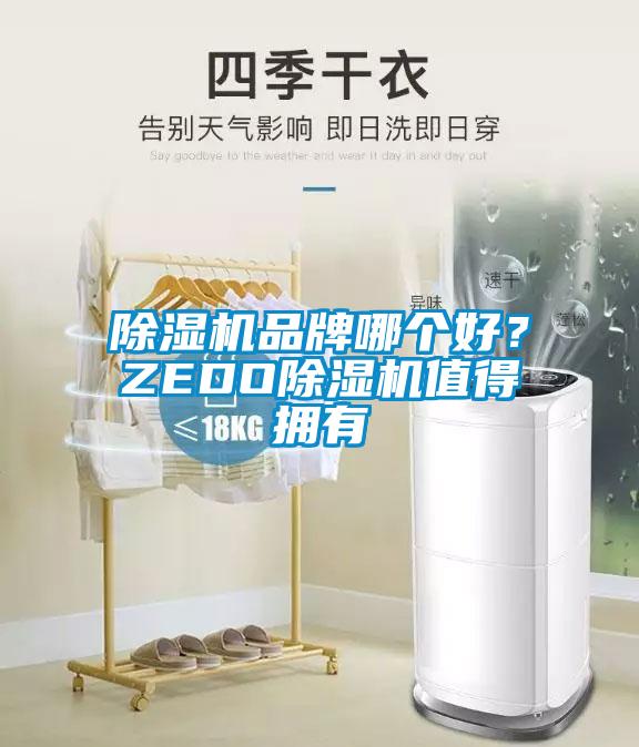除濕機品牌哪個(gè)好？ZEDO除濕機值得擁有