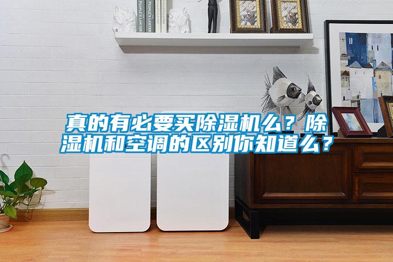 真的有必要買(mǎi)除濕機么？除濕機和空調的區別你知道么？